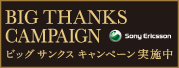 ビッグサンクスキャンペーン