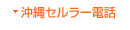 沖縄セルラー電話